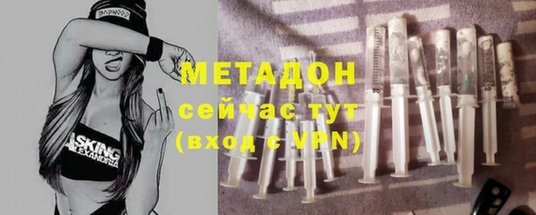 гидра Богданович