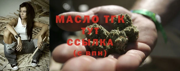 гидра Богданович