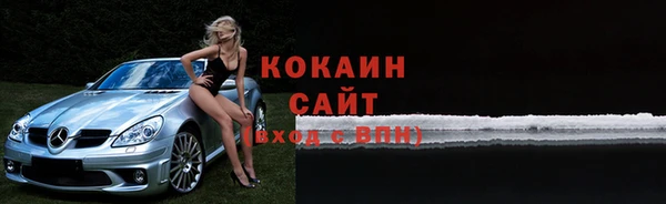 гидра Богданович