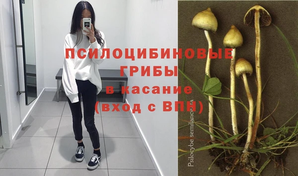 бутират Бородино