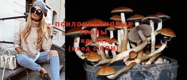 марки lsd Богородицк