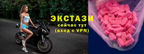 гидра Богданович