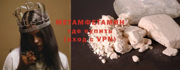 гидра Богданович