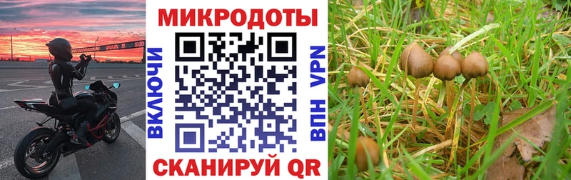 закладка  Калач  hydra зеркало  Галлюциногенные грибы Cubensis 